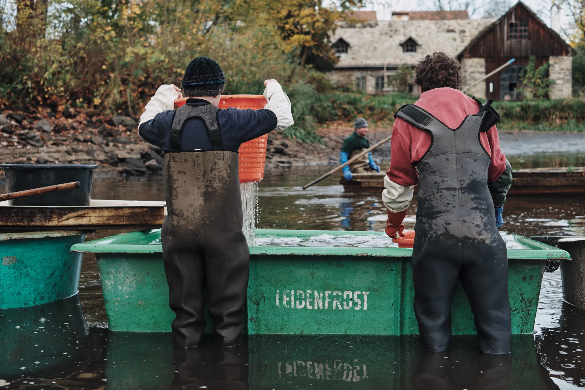Zwei Fischer leeren Bottiche voller Fische in den Transporttank, das Wasser strömt heraus.